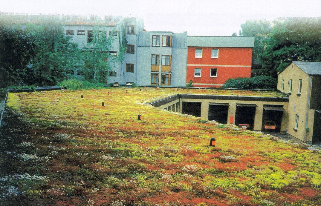 Extensive green roofs are